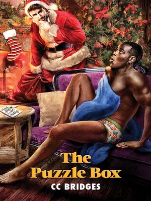 cover image of The Puzzle Box